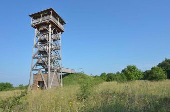 Wildkatzenpfad im Nationalpark Hainich