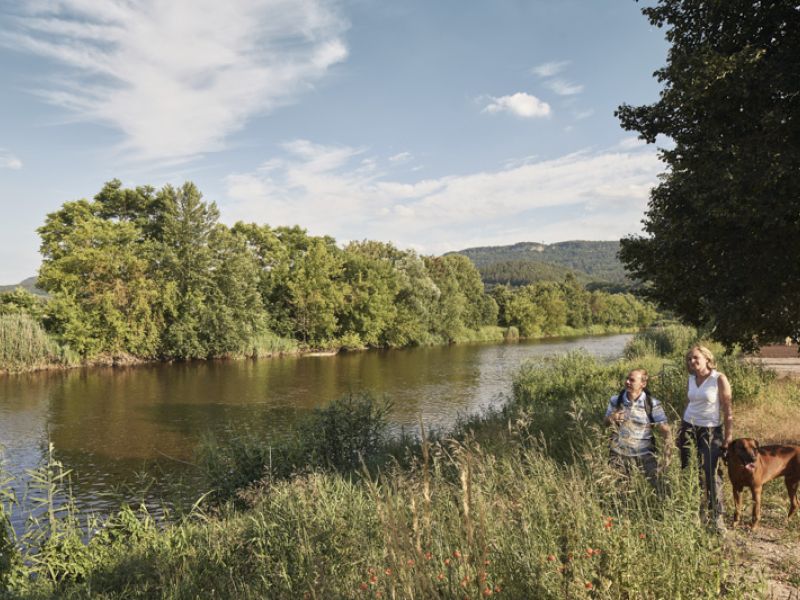Blick von der Werra zum Heldrastein / Wanderweg P6