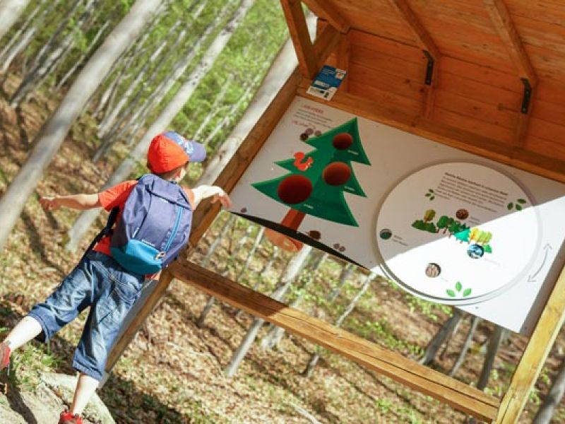 TOP-Wanderweg Erlebnis Iberg