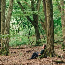 Jürgen Dawo genießt regelmäßig ein Waldbad im Hainich. Foto: WaldResort am Nationalpark Hainich