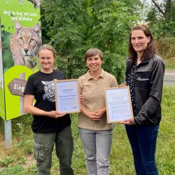 Dr. Katrin Vogel (l.) vom Wildkatzendorf Hütscheroda und Diana Ludwig (r.) vom Baumkronenpfad erhielten ihre "Leuchtturm-Auszeichnung" von Naturparkleiterin Claudia Wilhelm (Mitte)