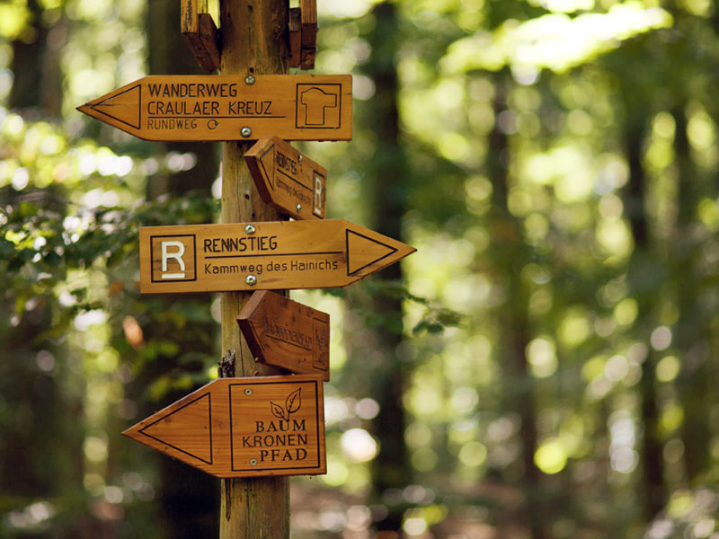 Rennstieg im Hainich