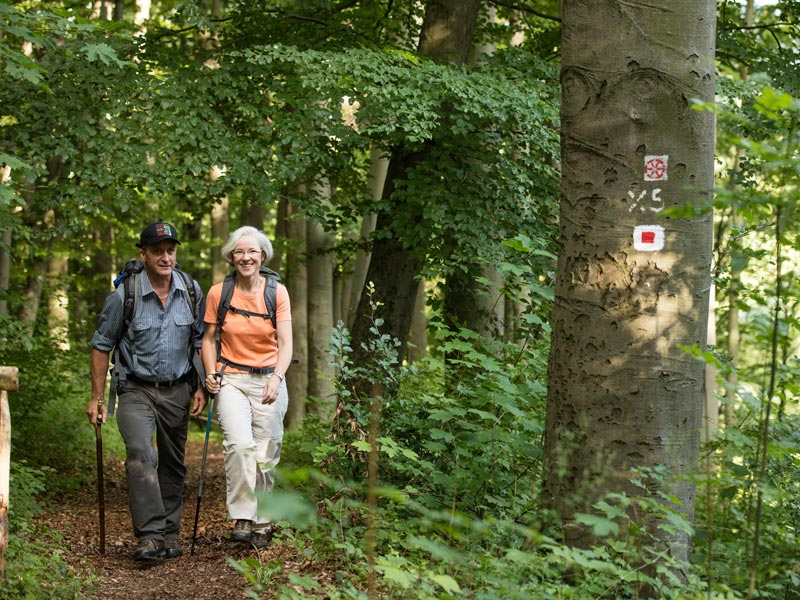 Wanderer auf dem Naturparkweg Leine-Werra © Tino Sieland