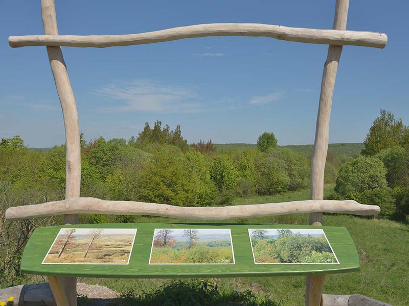 Wildkatzenpfad im Nationalpark Hainich