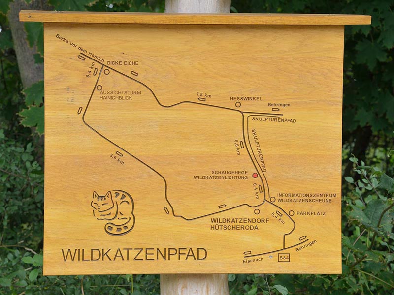 Wildkatzenpfad im Nationalpark Hainich