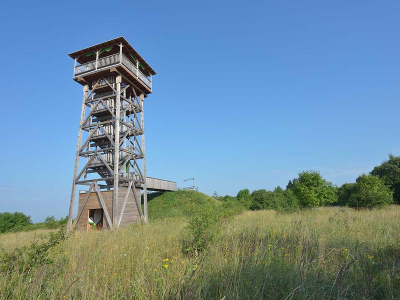 Wildkatzenpfad im Nationalpark Hainich