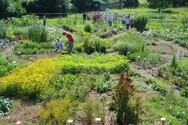 Schaugarten Schönhagen