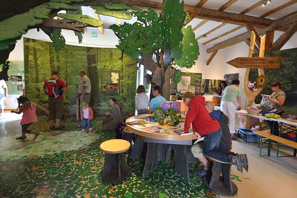 Nationalparkinformation in der Wildkatzenscheune Hütscheroda