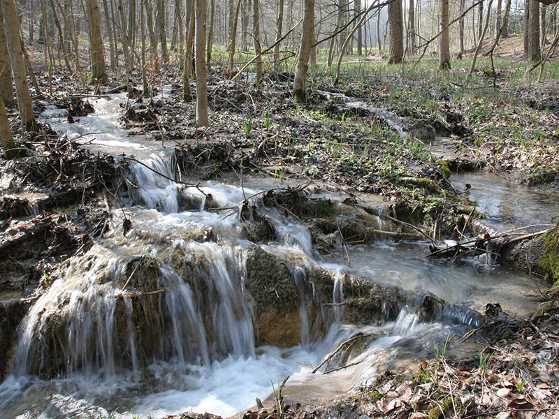Erfassung und Optimierung von Kalktuffquellen
