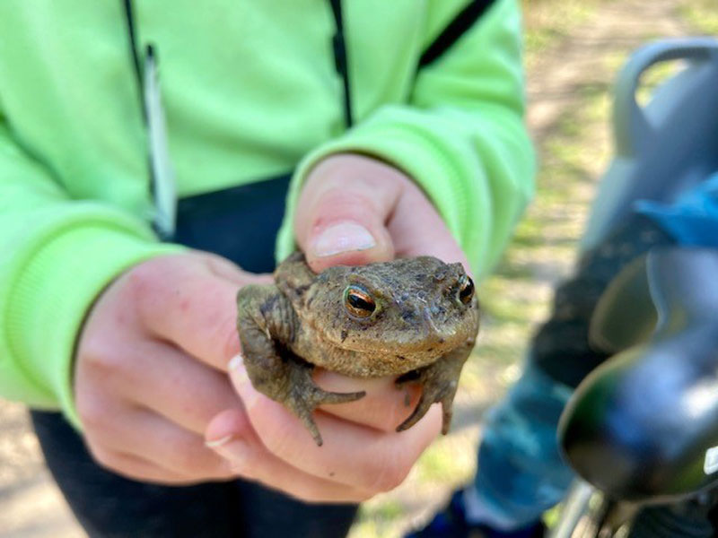 Junior Ranger im Naturpark Eichsfeld-Hainich-Werratal
