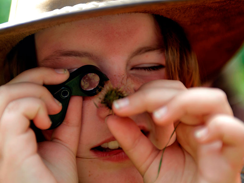 Junior Ranger im Naturpark Eichsfeld-Hainich-Werratal